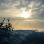 Collserola Mountain Trail running Tour