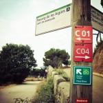 Carretera de les Aigues Collserola (3)