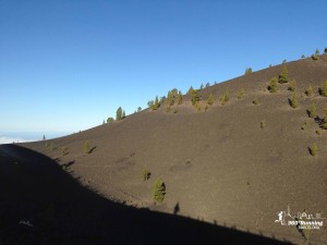 Paisatge volcànic del sud de l'Illa de la Palma